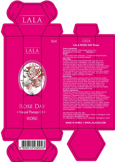 rose carton.jpg Image of carton - rose carton